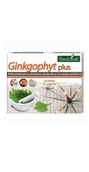 Ginkgophyt Plus - PlantExtrakt