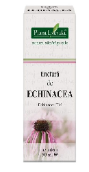 Tinctura de ECHINACEA - PlantExtrakt
