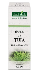 Tinctura de TUIA   PlantExtrakt