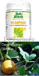 Pumpkin