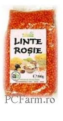 Linte Rosie - Solaris