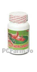 Sutherlandia