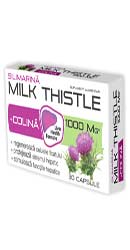 Milk Thistle + Colina - Zdrovit